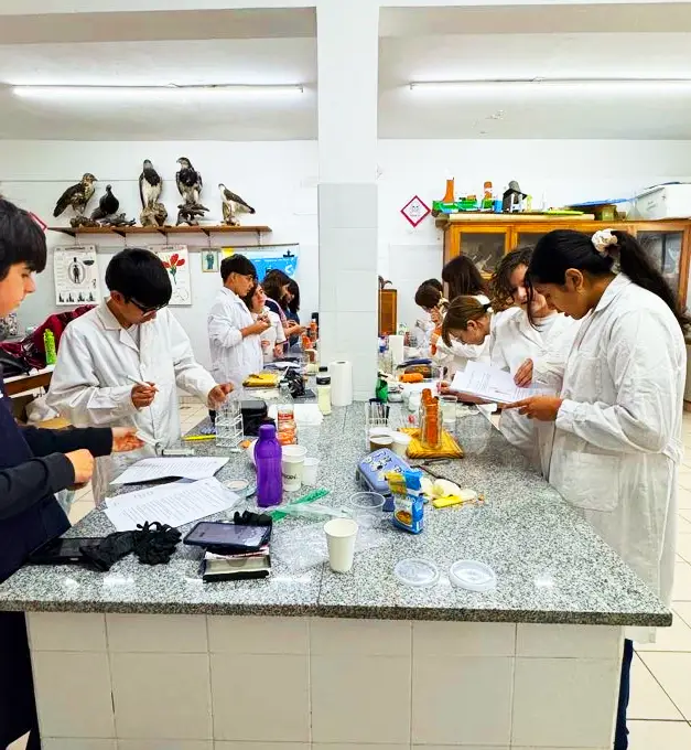Jóvenes científicos en acción