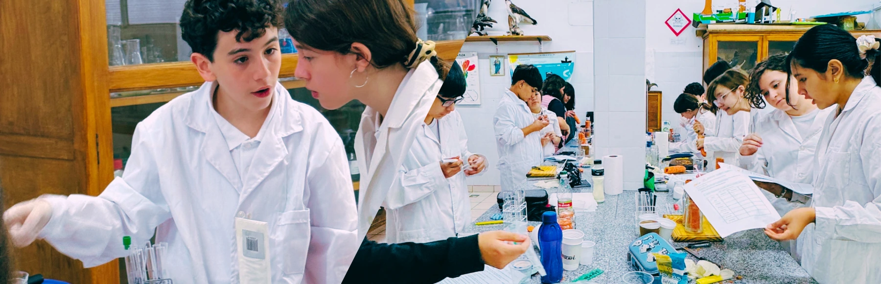 Estudiantes participando en las Olimpíadas de Ciencias